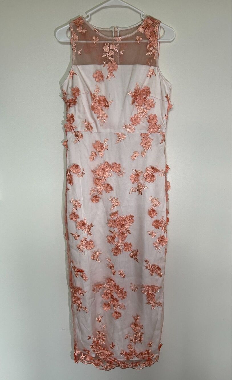 FEHAUTE Pink Floral Embroidered Mesh Sleeveless Midi Dress – Size 6